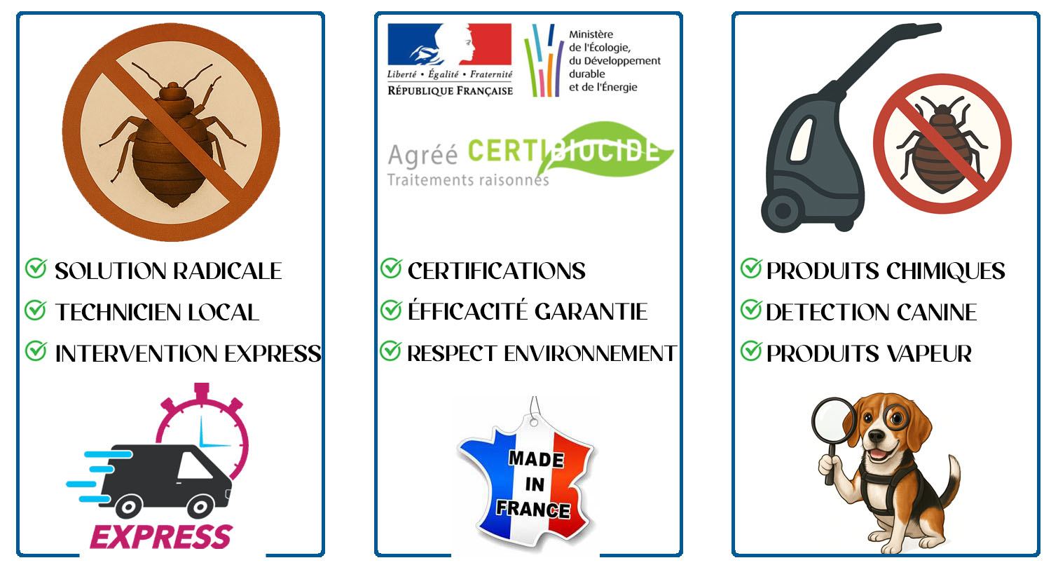 Punaises de Lit Suresnes