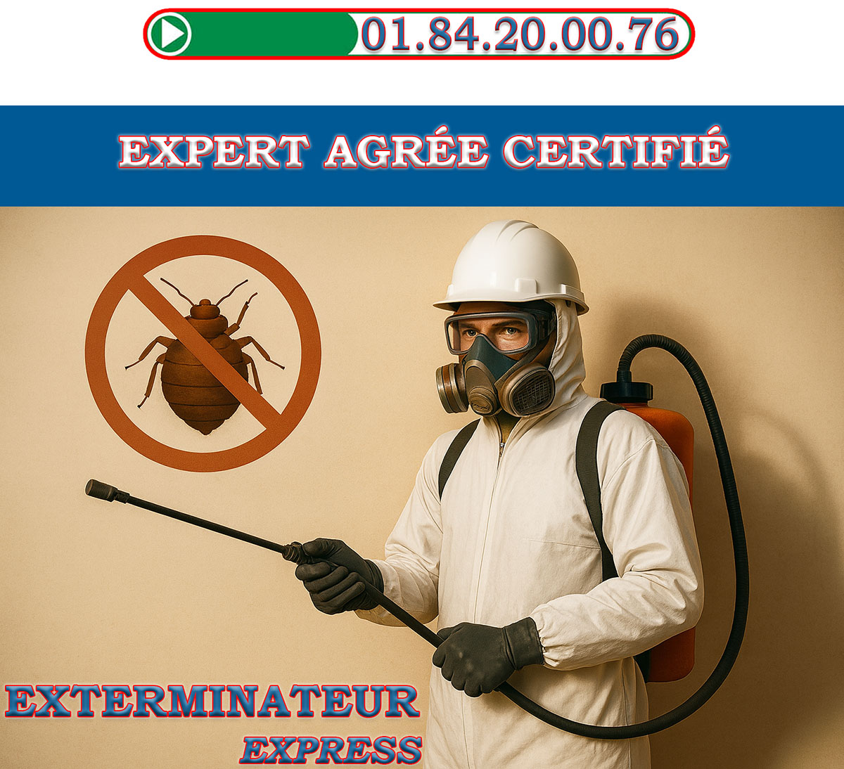 Punaises de Lit Suresnes